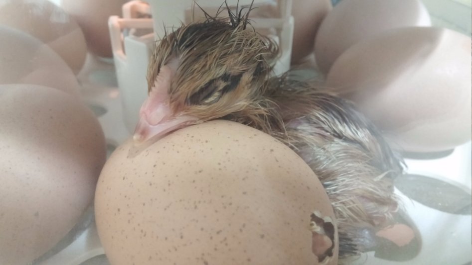 도심에서 즐기는 전원생활_21.jpg