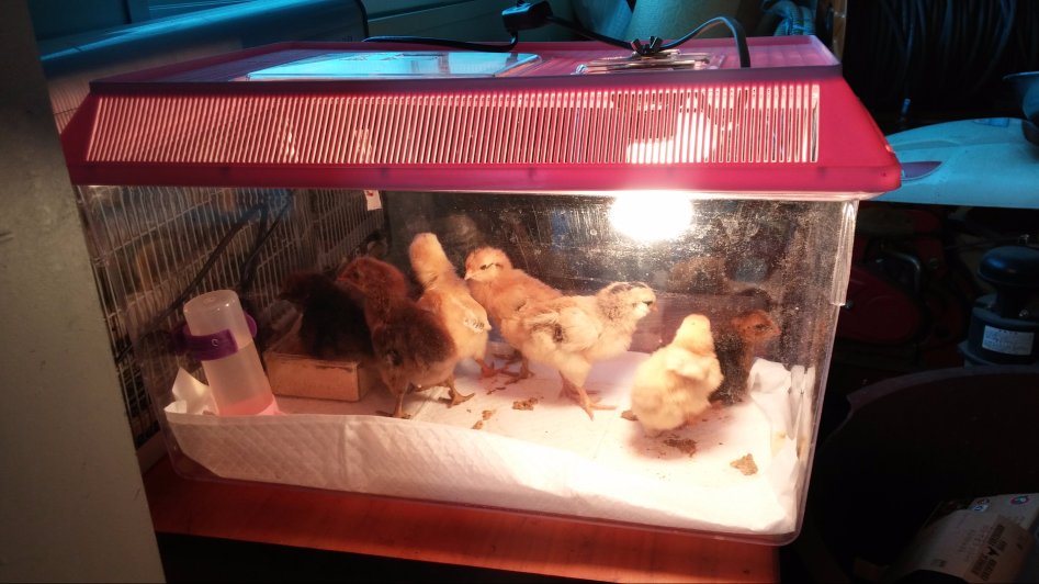 도심에서 즐기는 전원생활_23.jpg