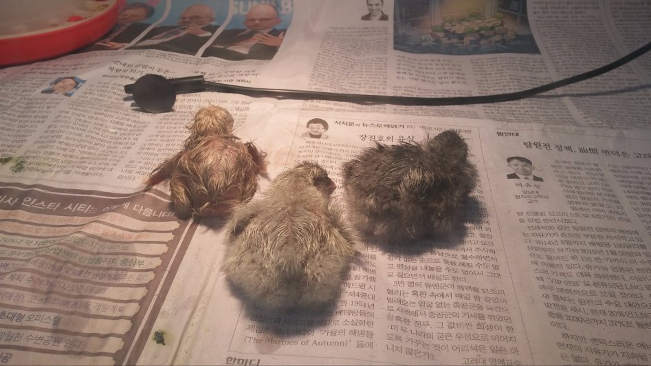 도심에서 즐기는 전원생활_22.jpg