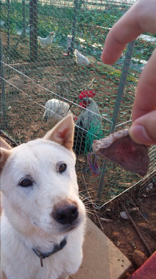 도심에서 즐기는 전원생활_33.jpg