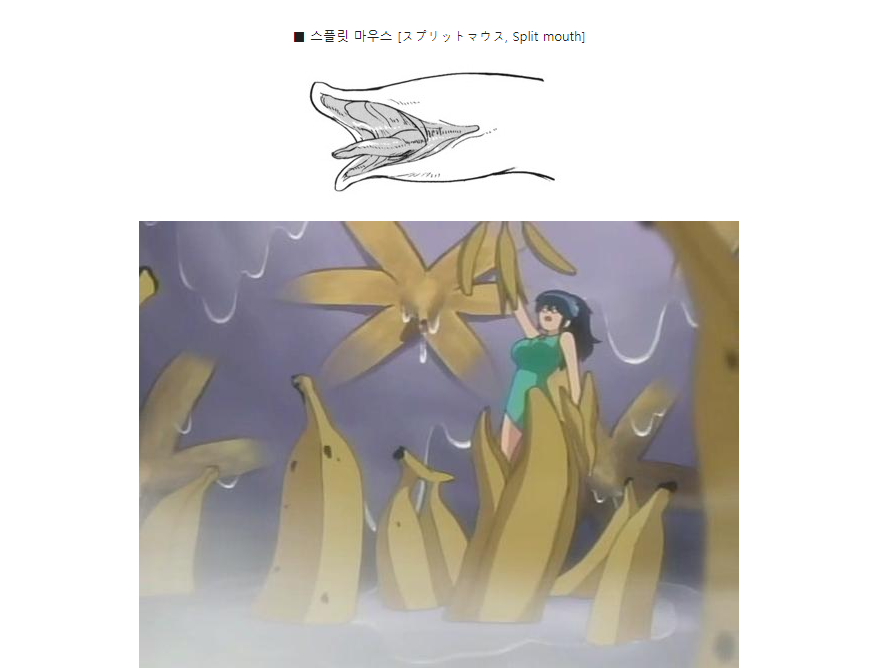 후방) 촉수의 종류들에 대해서 알아보자.araboja_5.png