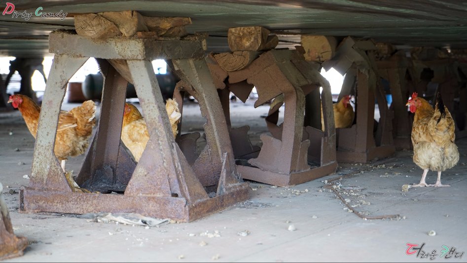 2017년 07월 10~14일 중국 난징 출장 (※스압/데이터)_44.jpg