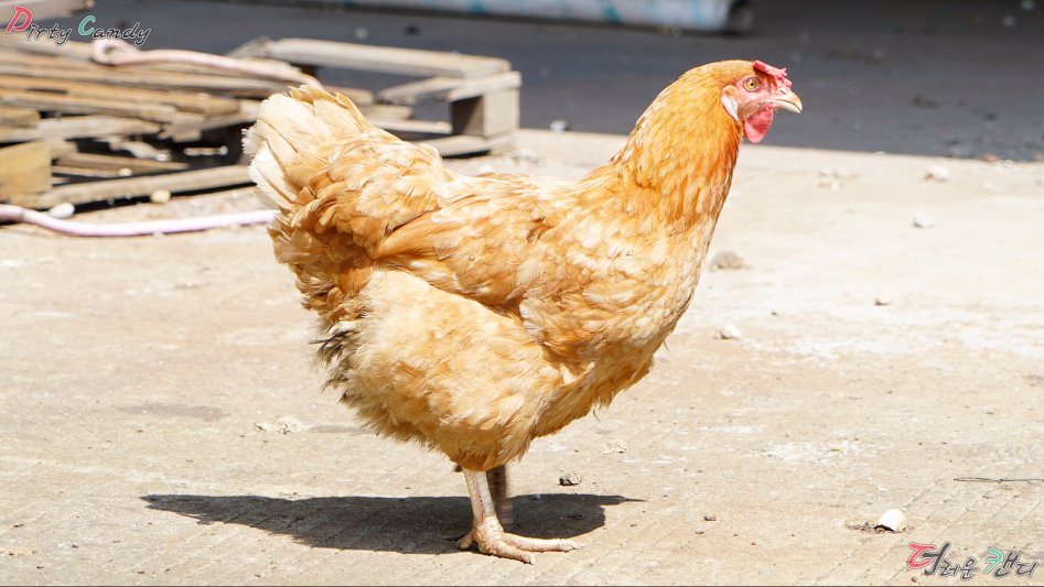 2017년 07월 10~14일 중국 난징 출장 (※스압/데이터)_48.jpg