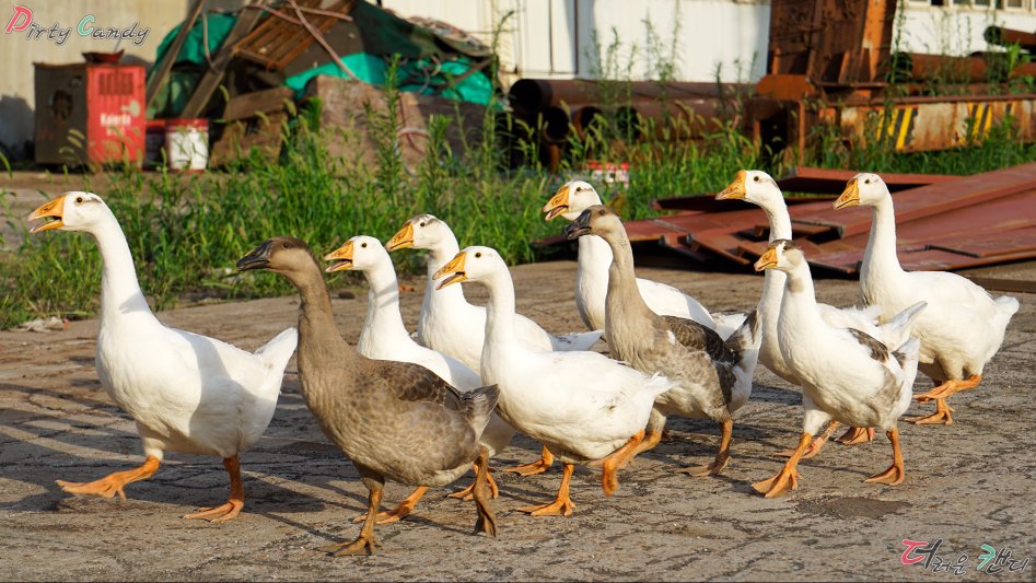 2017년 07월 10~14일 중국 난징 출장 (※스압/데이터)_54.jpg