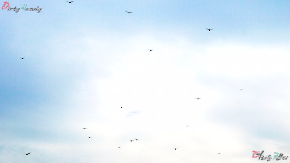 2017년 07월 10~14일 중국 난징 출장 (※스압/데이터)_69.jpg