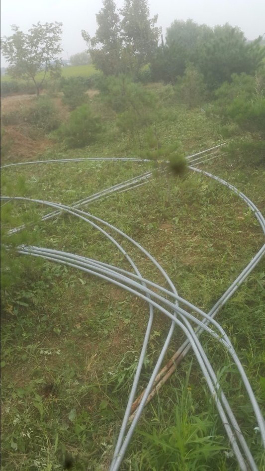 우리집 동물 및 농사생활입니다 (스압)_7.jpg