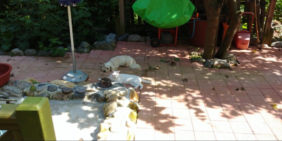 아버지의 꿈(스압)_117.jpg