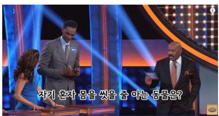 자기 혼자 몸을 씻을 줄 아는 동물은?_1.png