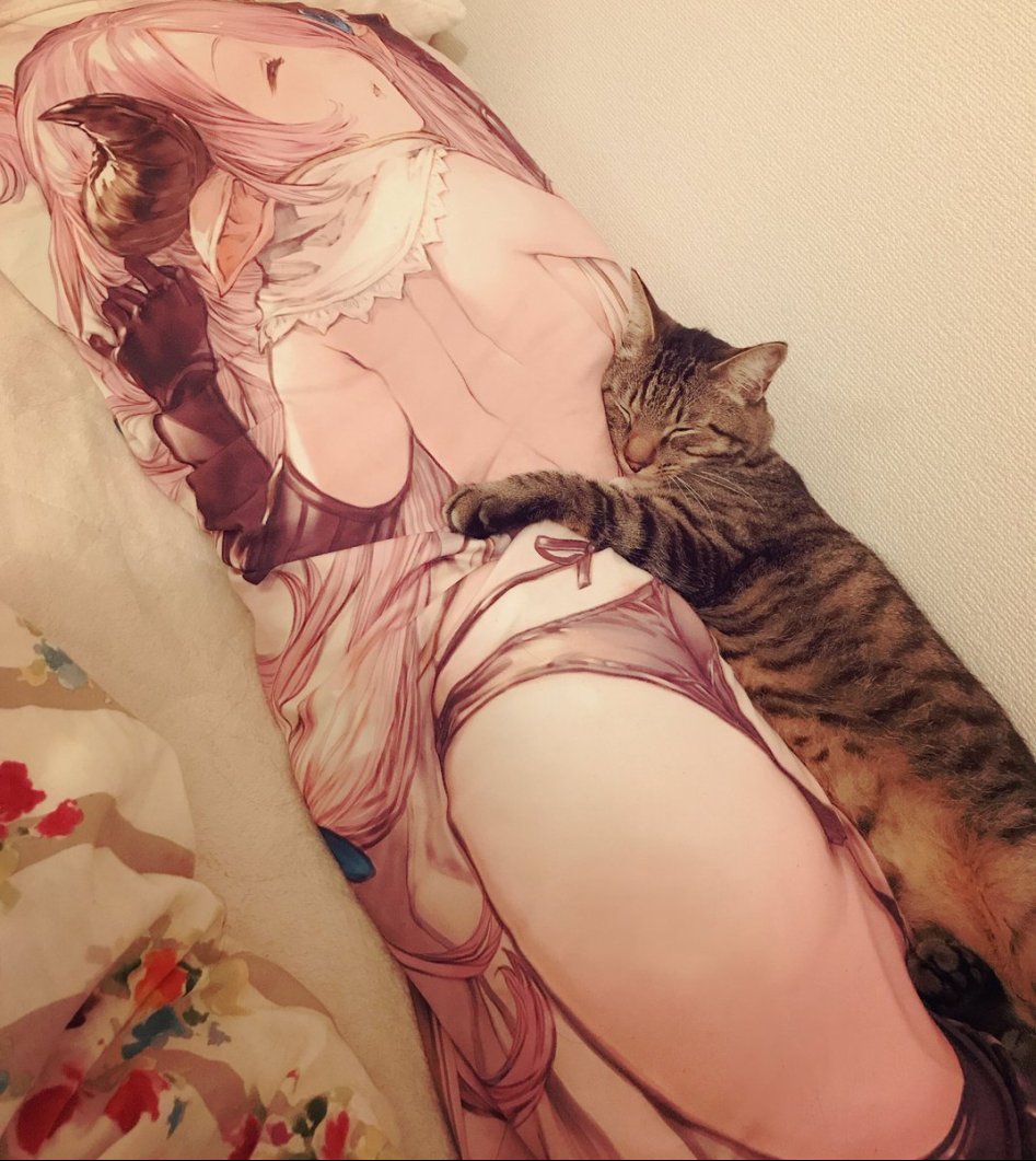 고양이도 인정하는 베개.jpg_1.jpg