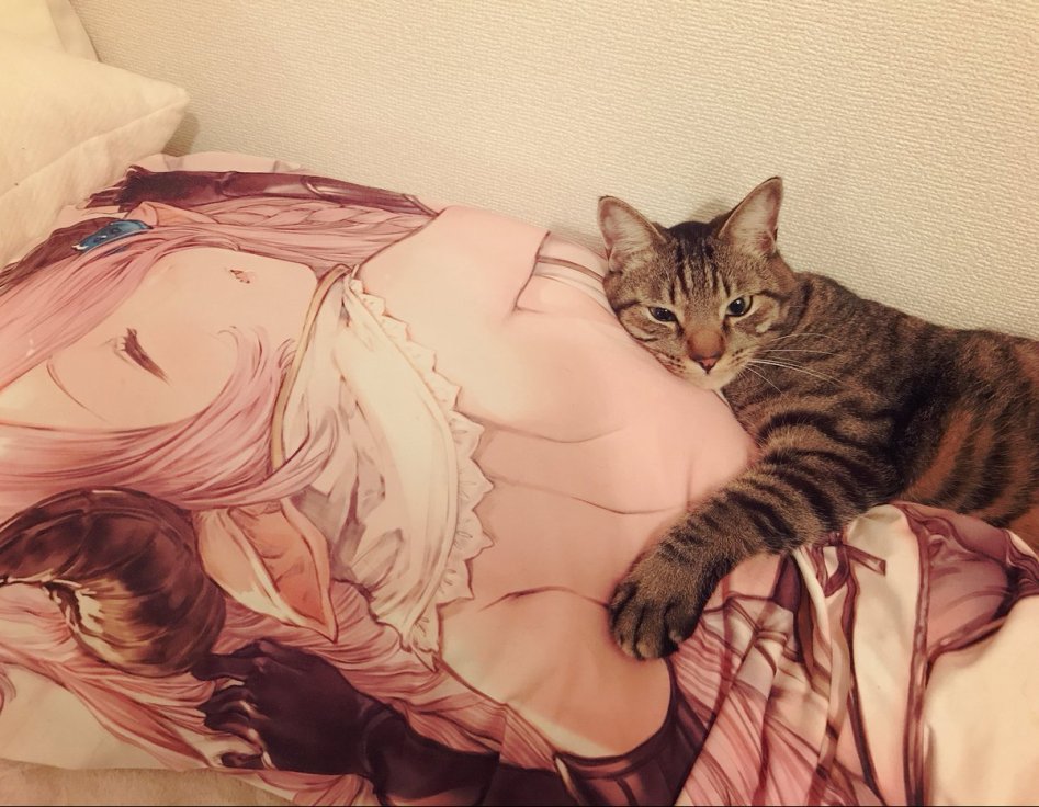 고양이도 인정하는 베개.jpg_2.jpg