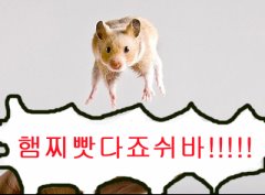 (스압)당근빳다죠쉬바.jpg_7.png