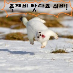 (스압)당근빳다죠쉬바.jpg_8.jpg