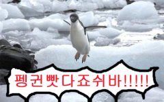 (스압)당근빳다죠쉬바.jpg_11.png
