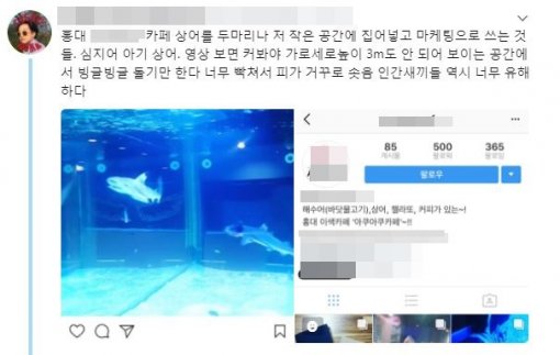 상어학대를 멈춰주세요 최종결말_1.jpg