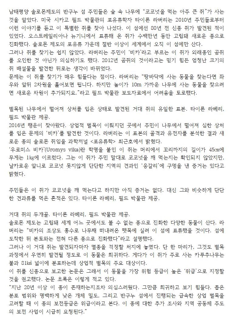 코코넛 깨먹는 '거대 쥐', 발견되자 '멸종' 걱정5001.jpg
