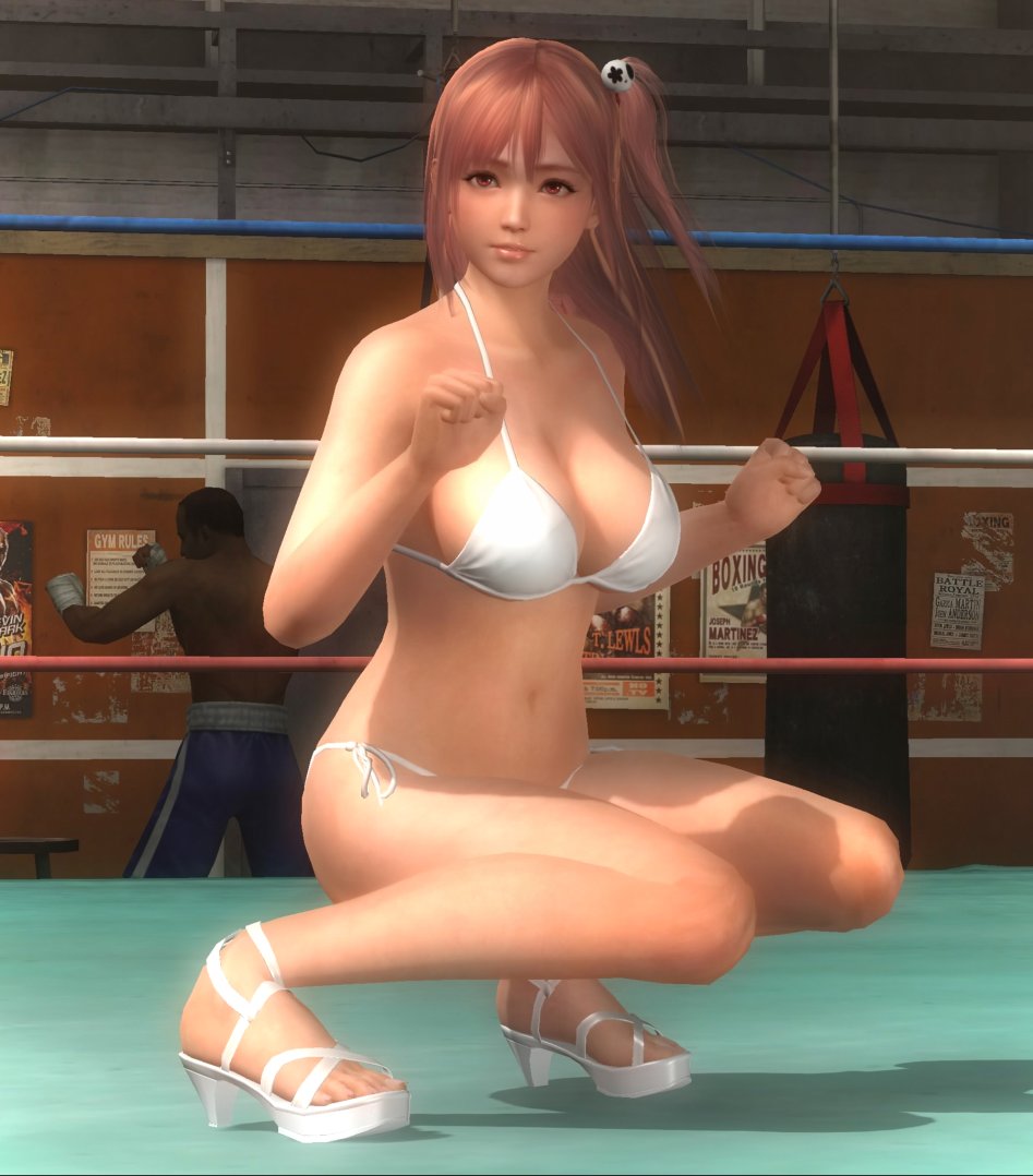 DEAD OR ALIVE 5 Last Round_20150305001212_stitch.jpg