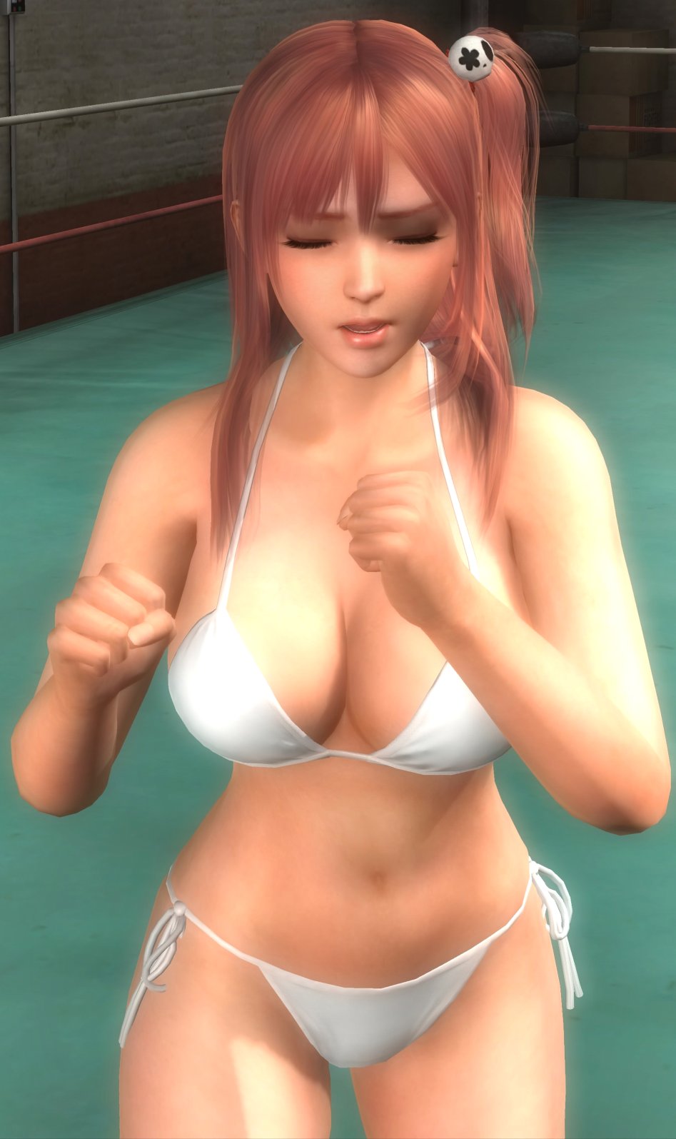 DEAD OR ALIVE 5 Last Round_20150305002657_stitch.jpg