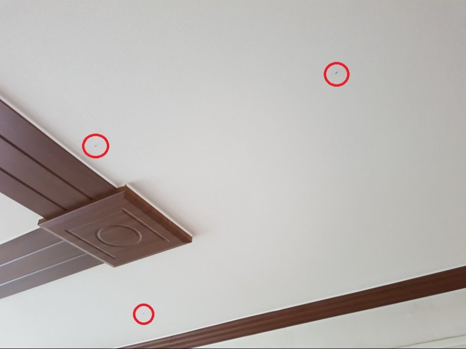 10월에 모기와의 전쟁 중입니다...(혐주의)_6.jpg