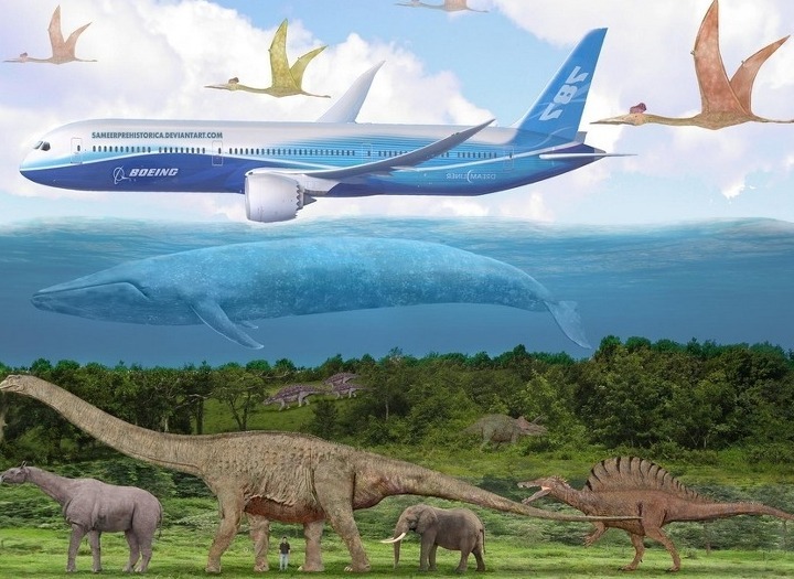지구 역사상 가장 큰 동물3.jpg