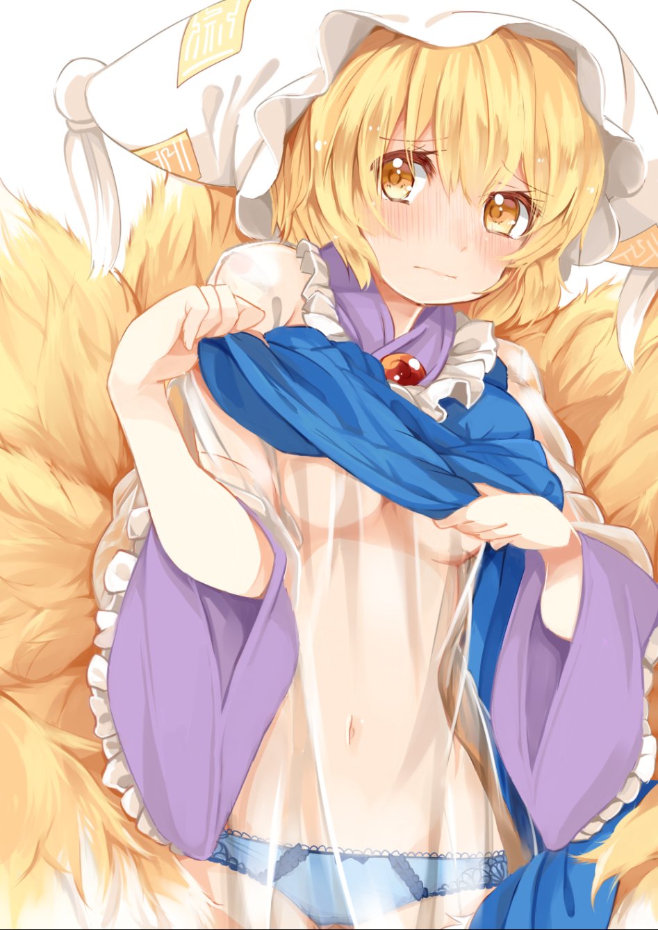 __yakumo_ran_touhou_drawn_by_japa__6d406b7022be06677f4e4e69fda0d5ce.png