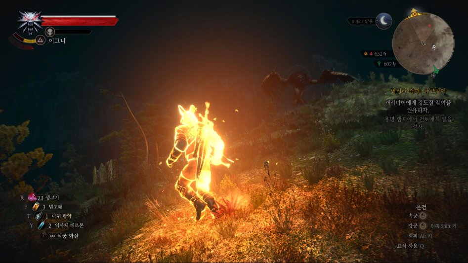 witcher3 2016-10-07 17-10-54-19.jpg