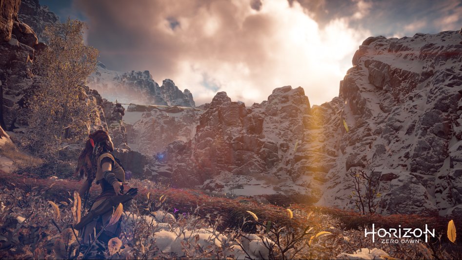 Horizon Zero Dawn™_20170510005452.jpg