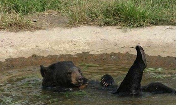 (후방주의) 웅녀의 입욕장면_1.jpg