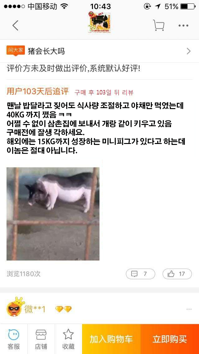 쇼핑몰 후기 레전드.jpg_3.jpg