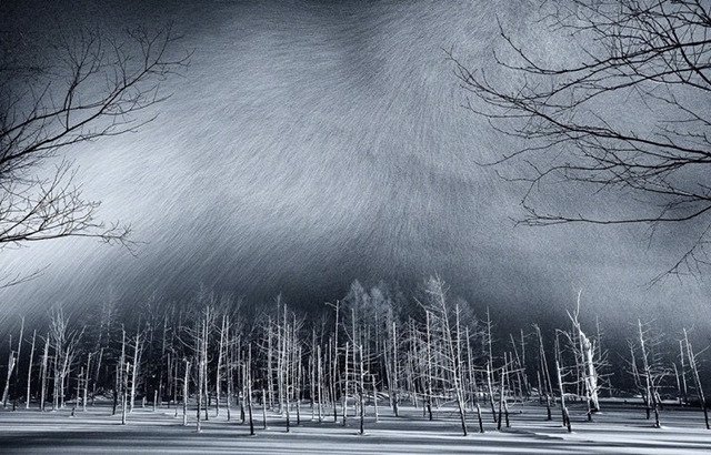 내셔널 지오그래픽 올해의 사진 후보._1.jpg