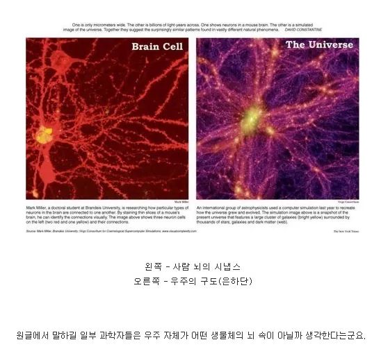 우주와 뇌의 비교사진1.jpg