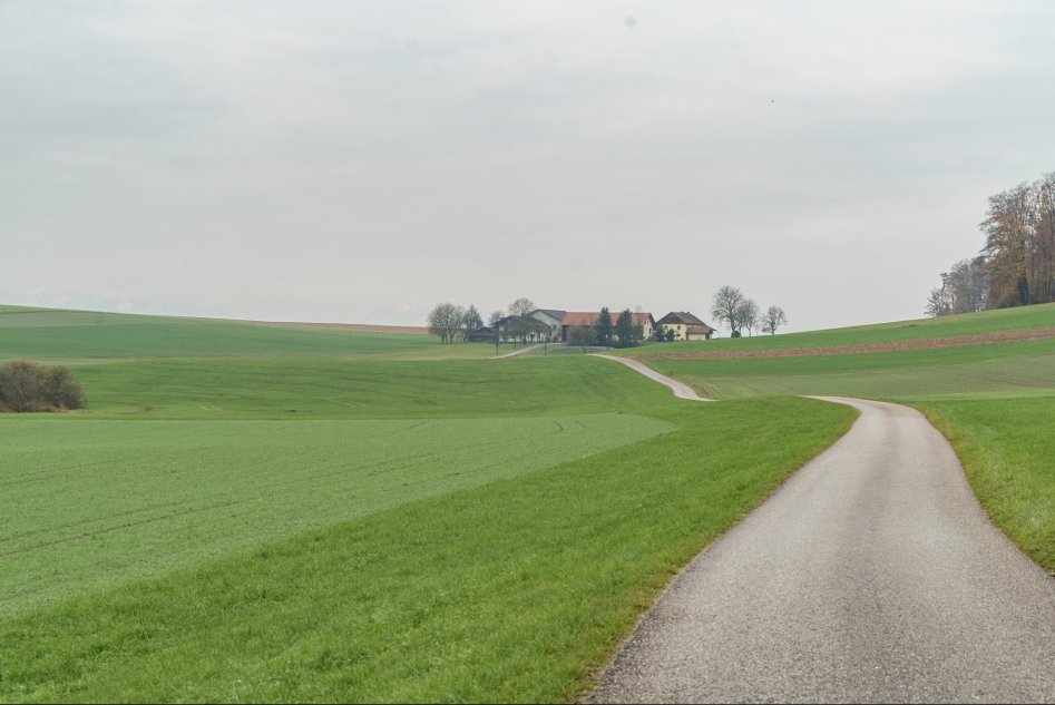 신혼여행으로 찾아간 오스트리아 Fucking 마을_6.jpg