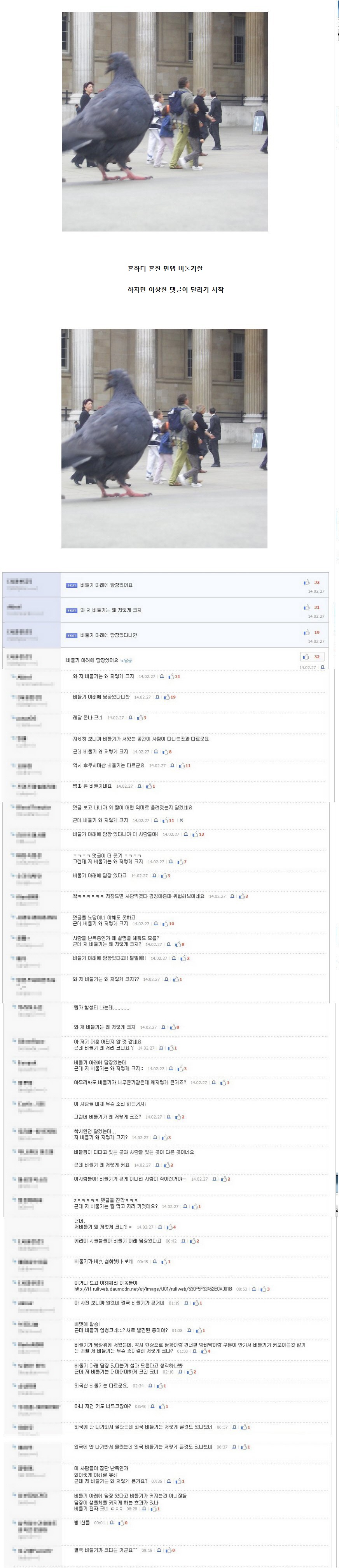 전설의 비둘기 사건.jpg_1.jpg