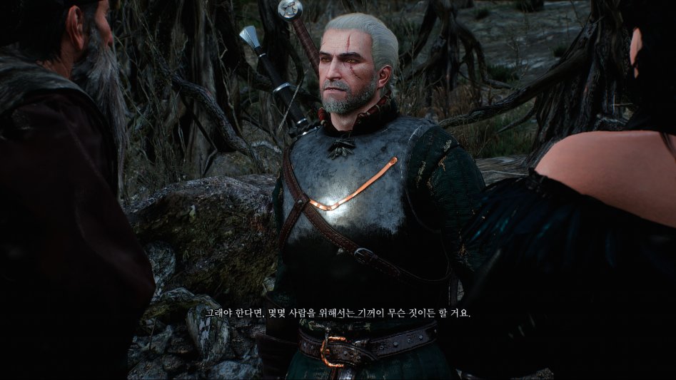 witcher3 5.png