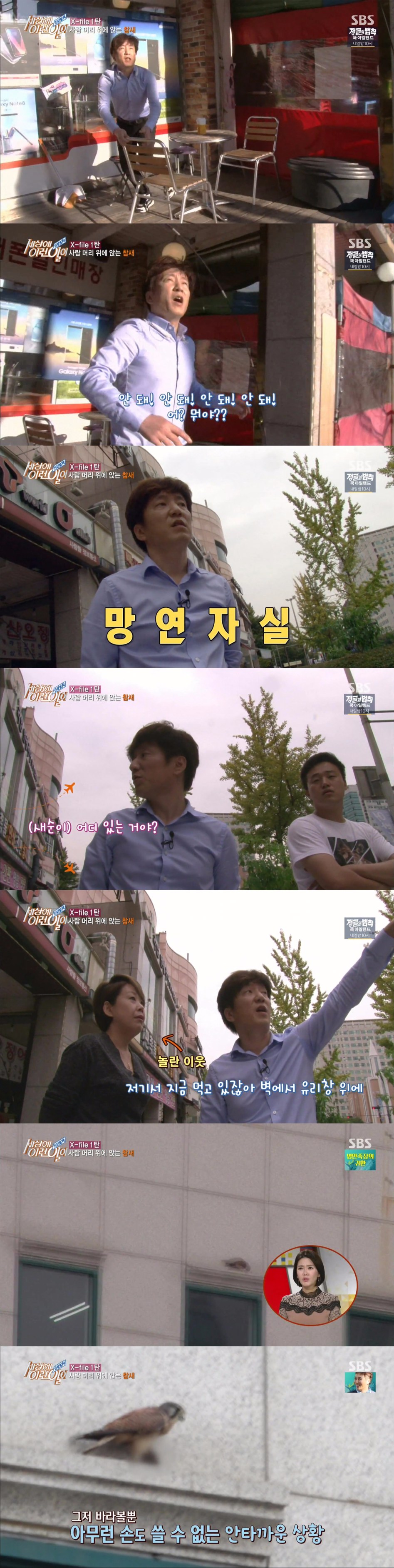 어제자 '새'상에 이런일이_2.jpg