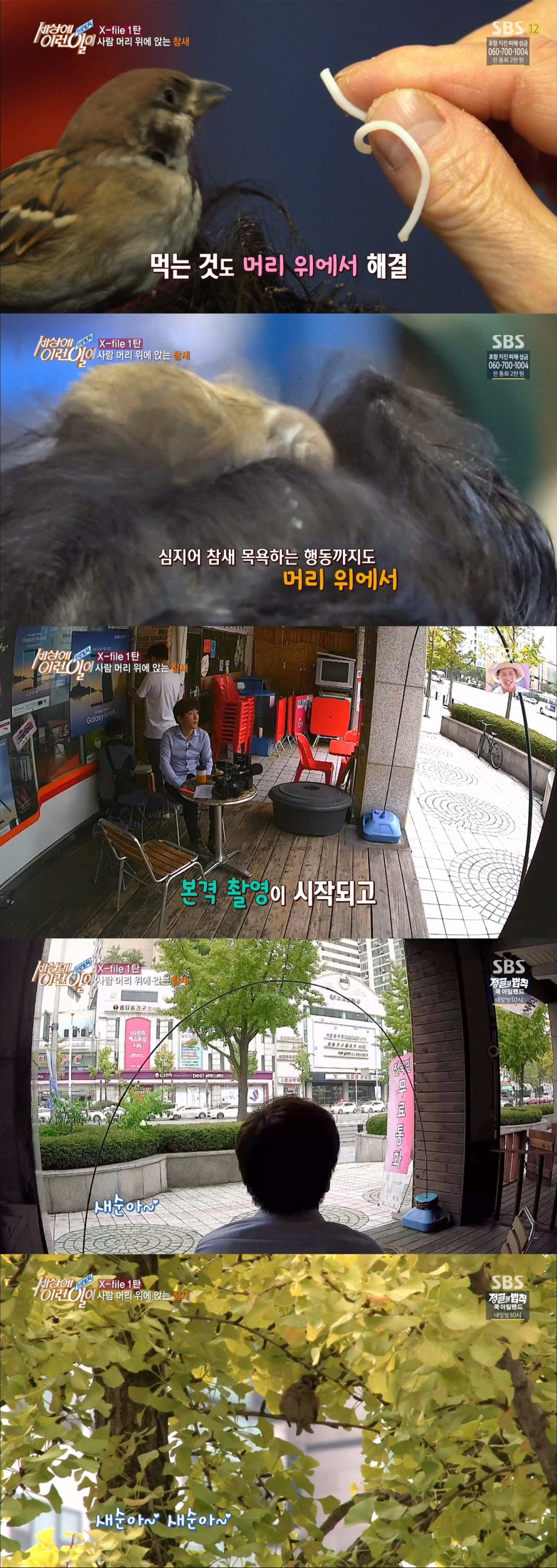 어제자 '새'상에 이런일이_1.jpg