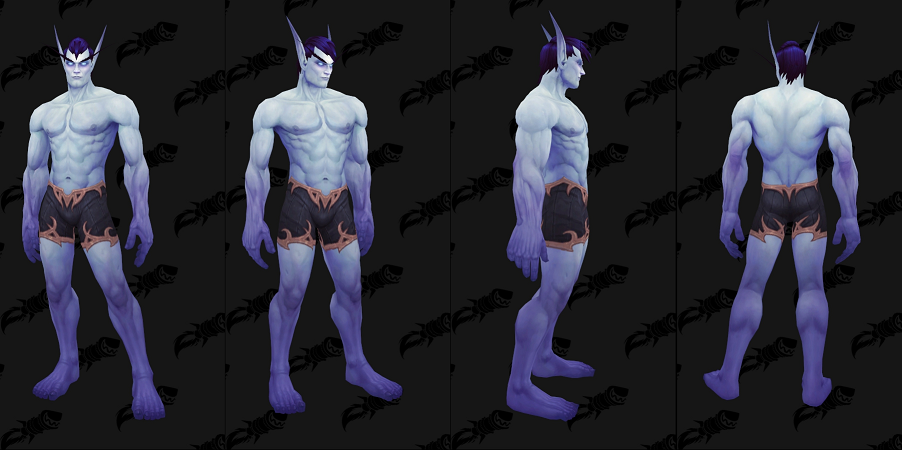 공허 엘프 렌도레이 남, 여 커스터 마이징 및 스토리_4.png