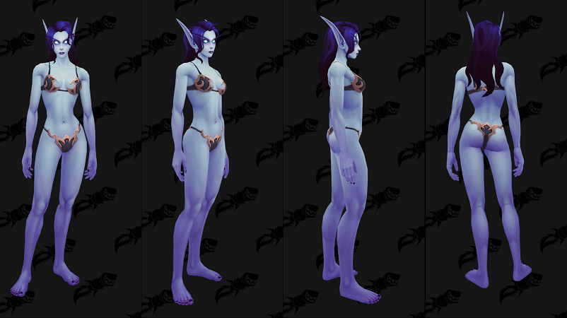 공허 엘프 렌도레이 남, 여 커스터 마이징 및 스토리_9.png