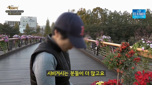 최시원이 국내 애견계에 일궈낸 업적_16.jpg