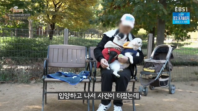 최시원이 국내 애견계에 일궈낸 업적_20.jpg