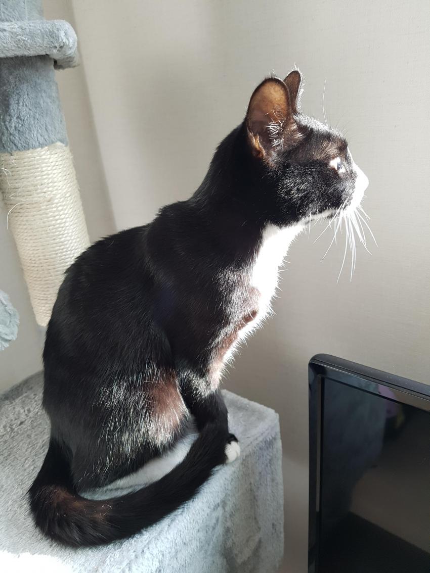 20대 후반 꿈을 이룬 나만의 공간_3.jpg