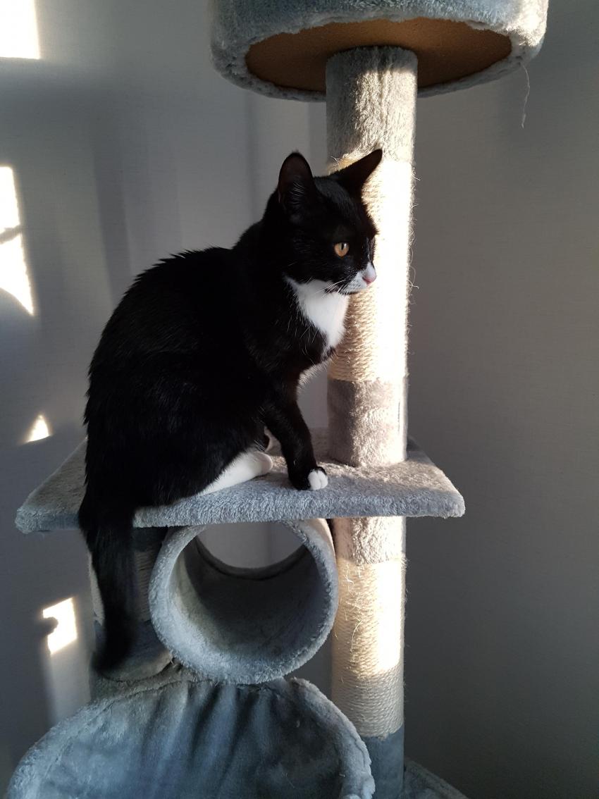 20대 후반 꿈을 이룬 나만의 공간_4.jpg