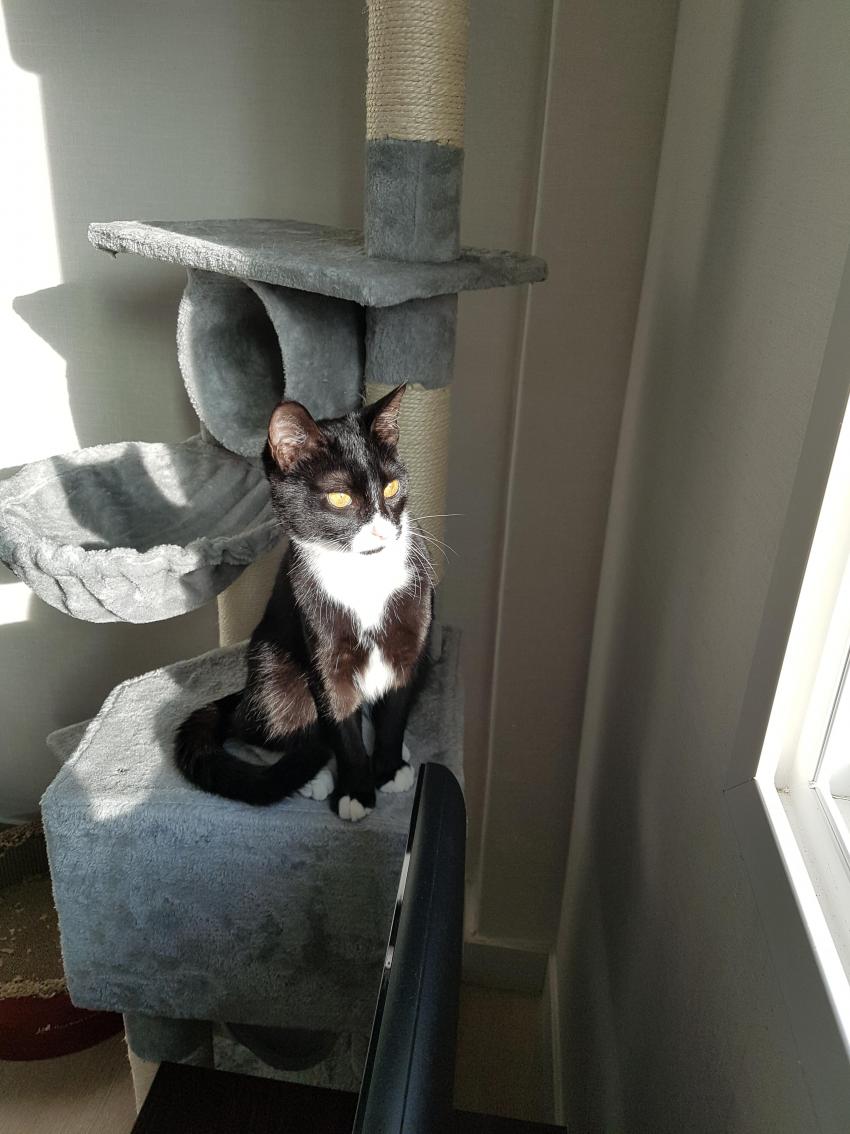 20대 후반 꿈을 이룬 나만의 공간_6.jpg