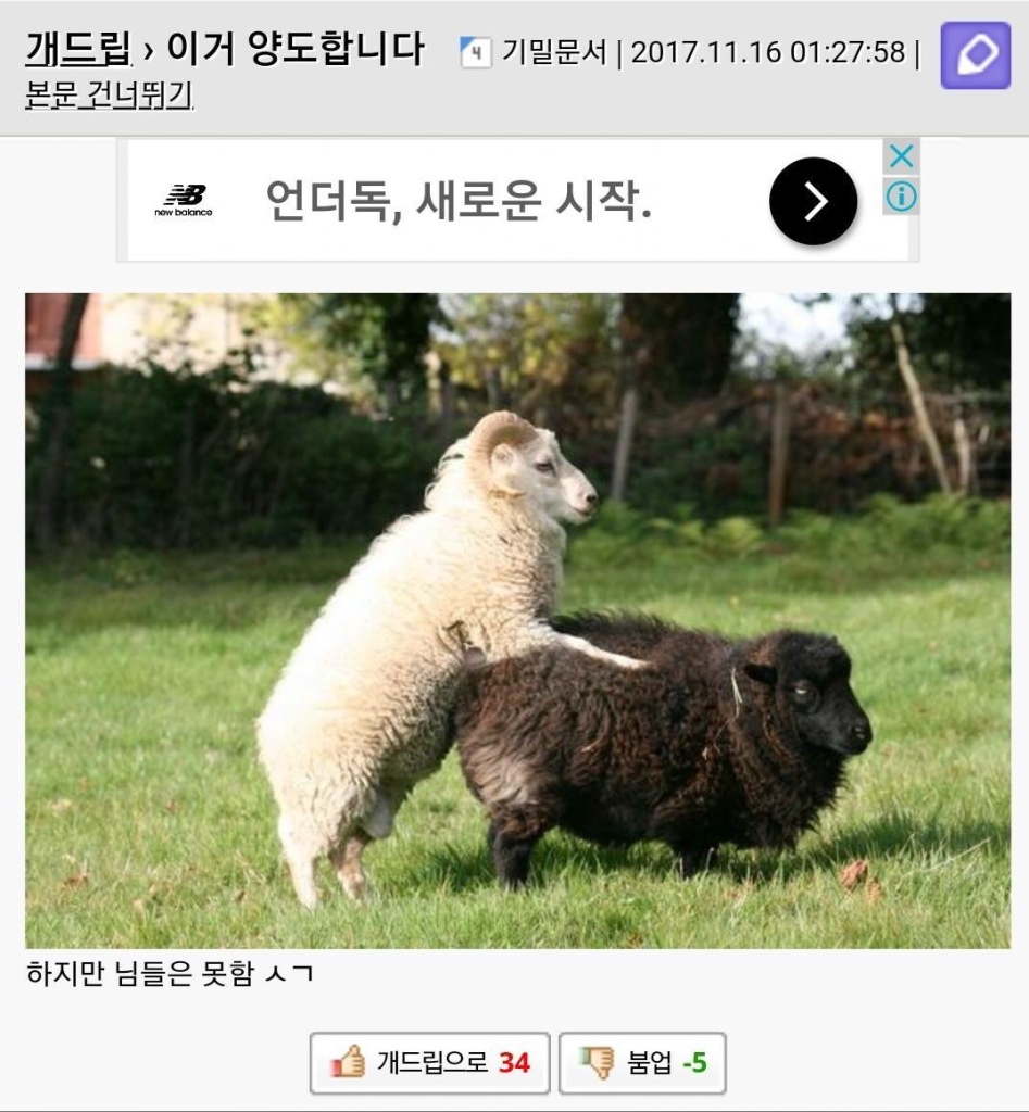 이거 양도합니다.jpg_1.jpeg