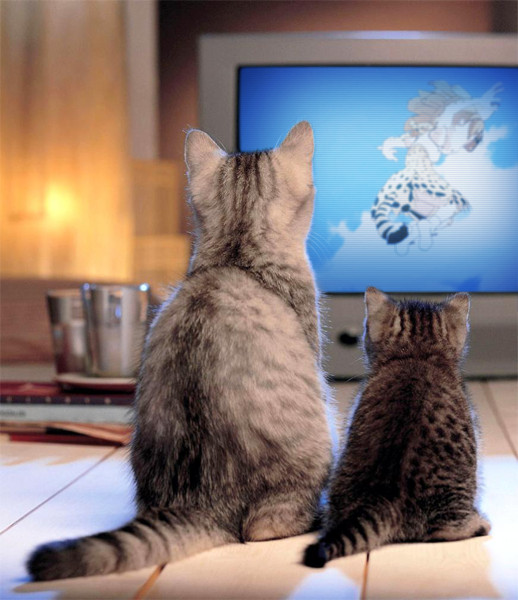 아빠, 저 누나 너무 귀엽다...! 하아하아..._1.jpg