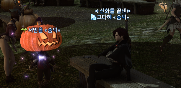 ffxiv_dx11 2017-11-13 21-28-38.png