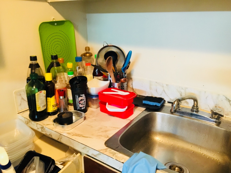 몬트리올에 온 지 벌써 1년_29.jpeg