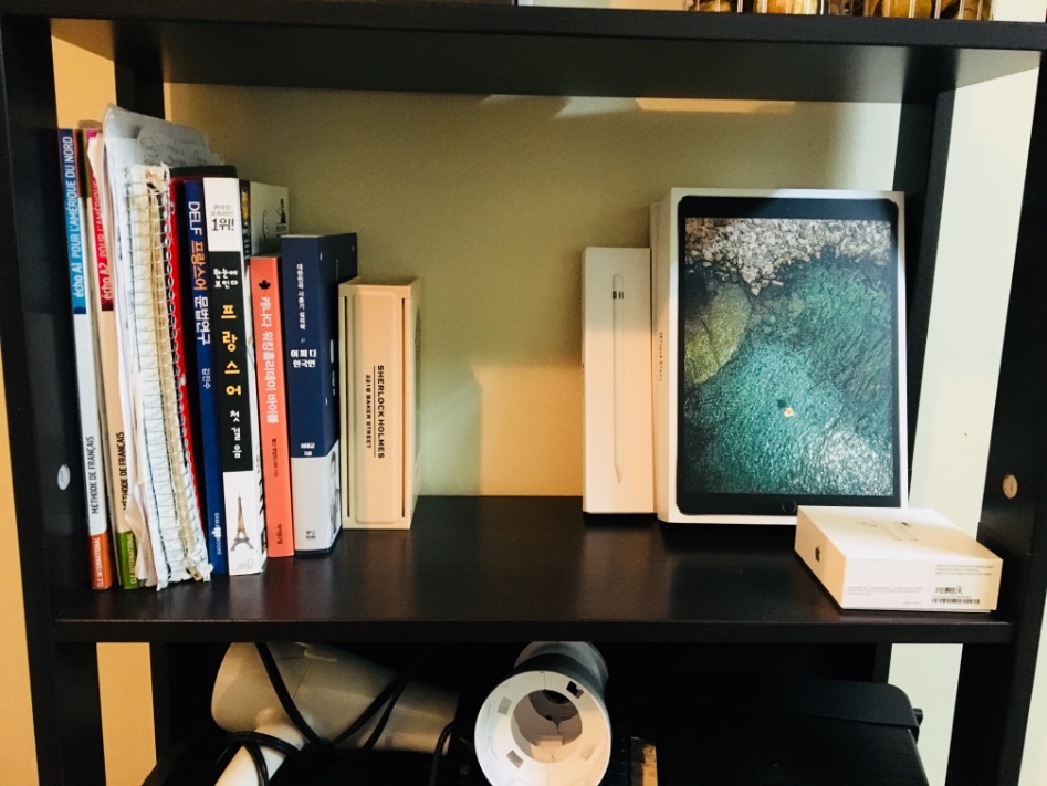 몬트리올에 온 지 벌써 1년_34.jpeg