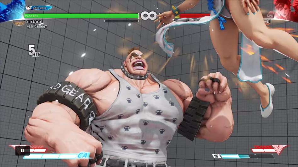 STREET FIGHTER V_20171210221134.jpg