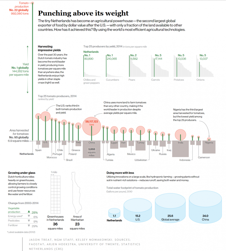 네덜란드 농업 근황.JPG_3.png