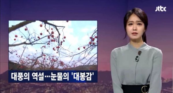 올해 감값이 폭락해서 출판한 책_1.jpg